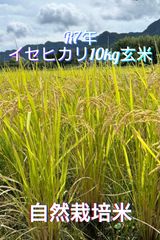 【 農園直送 】玄米 10kg コシヒカリ お米 米 群馬県産 沼田のこしひかり みずのながれ】玄米 10kg コシヒカリ お米 米 群馬県産 沼田の