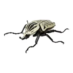 【中古】トレーディングフィギュア ゴライアスオリエンタリス 「いきもの大図鑑 かぶとむし05」