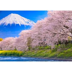 絵画風 壁紙ポスター (はがせるシール式) -地球の撮り方- 龍巌淵(りゅうがんぶち) の桜と富士山 さくら 桜 キャラクロ C-ZJP-009A2 (A2版 594mm×420mm) ＜日本製＞ ウォールステッカー お風呂ポスター