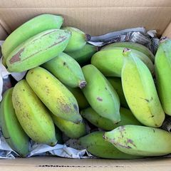 沖縄県産 アップルバナナ 約2.1kg 約30本 南国フルーツ 希少バナナ