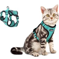 Item thumbnail for item 3897e548-b05a-4353-b41b-a06f01bee89d