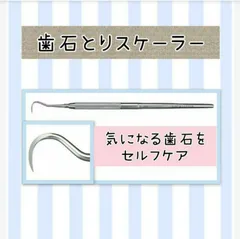 歯科衛生士　スケーラー未使用 LMシャープダイヤモンド/シックルスケーラー | 白水貿易株式会社