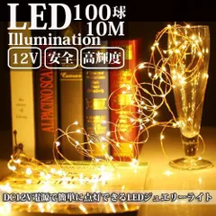 LEDイルミネーション ジュエリーライト 12V 10m 100球 ワイヤー クリスマスライト