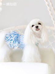 RIOSTUDIO 犬服 春夏 【日本初上陸】PEEKAPOODLE 一閲心田 デザイナーズ犬の服 ドッグウェア ペットウェア ストライプ柄【フリフリワンピース】【ブルー】