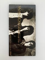 アニメ シングルCD  WANDS 世界が終るまでは…
