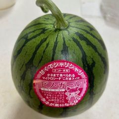 【産地直送・即日発送可】熊本県産小玉スイカ　ピノ・ガール（３L）２玉　マイクロシードすいか　種まで食べられるスイカ　正規品　秀品