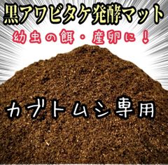 カブトムシ幼虫が大きくなる！貴重な黒アワビタケ発酵マット【10L】雑