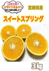わが家のマル秘みかん❣️3㎏/レモン　国産レモン　みかん　金柑