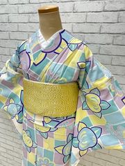 洗える着物　単衣　Lサイズ【20250118-13】単品　ひとえ　仕立て上がり