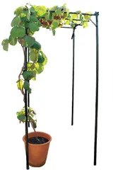 2026年最新】葡萄棚の人気アイテム - メルカリ