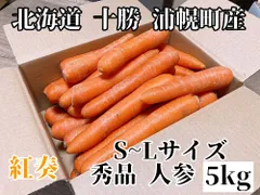 2025年最新】人参 20kgの人気アイテム - メルカリ