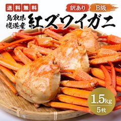 【訳あり】鳥取県産  ボイル紅ズワイガニ B級 1.5kg(5枚入り)