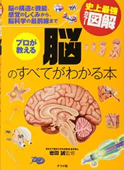 【中古】史上最強カラー図解 プロが教える脳のすべてがわかる本