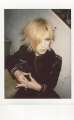 DIAURA 佳衣 チェキセット 2025年最新】佳衣 DIAURA チェキの人気アイテム - メルカリ