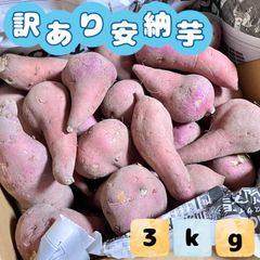 福岡県産 訳あり安納芋紅 3kg