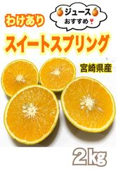 【訳あり】わが家のマル秘みかん❣️スィートスプリング2kg/蜜柑　無農薬　果物