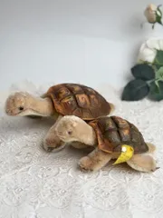 2025年最新】シュタイフ カメの人気アイテム - メルカリ