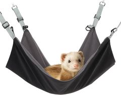 Item thumbnail for item 79391d41-d720-4c51-8e4d-16400a84f5e6