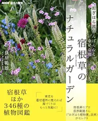 2024年最新】宿根草のナチュラルガーデンの人気アイテム - メルカリ