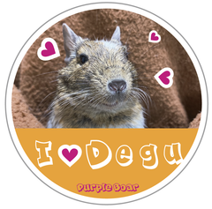 送料無料　Degu　デグー「デグー　I♡DEGU　ステッカー」（約６０ｍｍ×約６０ｍｍ）