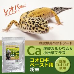 爬虫類用 コオロギペースト用粉末 200g 小松菜&カルシウプラス レオパにおすすめ 国産コオロギ使用 SMILE PET CLUB　メール便発送