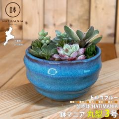 HATIMANIA 盆栽鉢 3号 1006W 鉢マニア トルコブルー 鉢づくし ミニ盆栽 多肉植物 エケベリア セダム 植木 穴あき 観葉直物 土植え 丸型 プレゼント ミニ盆栽 Sサイズ サボテン 母の日 円形 鉢植え 区分60Y TB104-3