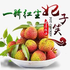 冷凍金枕ドリアン5パック+冷凍ジャクフルーツ5パック、冷凍発送~ 冷凍ジャックフルーツ | nsk-ssのブログ