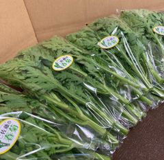 野菜　生で食べられる春菊　10袋　80サイズ