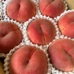 おすすめ！ももちゃん果樹園の桃　品種　さくら白桃　約3キロ箱　自家用