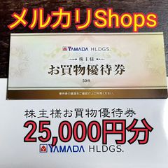 ヤマダ電機　株主優待　25000円分