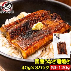 うなぎ蒲焼き カットうなぎ 国産うなぎ 40g×3パック 合計120g 食べきりサイズ 柔らかうなぎを丁寧に焼き上げました。