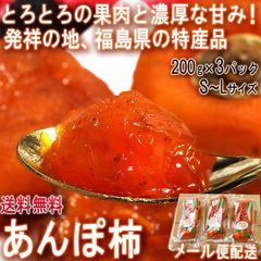 あんぽ柿 干し柿 約200g×3パック 福島産 メール便配送 柔らかで濃厚な甘さ