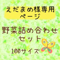 えだまめ様専用ページ‼️野菜詰め合わせセット100