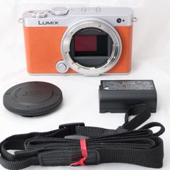 ☆新品級☆ Panasonic LUMIX S9 ボディ キャメルオレンジ DC-S9 パナソニック フルサイズ ミラーレス一眼カメラ ルミックス #R315