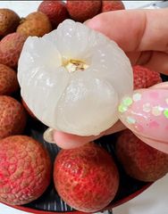 『6月3日入荷予定・数量限定』300g‼️フォロワー様限定100円引きクーポン配布中‼️常温便‼️新鮮❣️生ライチ 種あり 厳選南国フルーツ フレッシュライチ 香りが強いみずみずしい生ライチ レイシ 新鮮ライチ 茘枝 果物 家庭用 お中元 夏ギフトのサムネイル