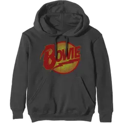 レア BOOWY 30th anniversary スウェット  パーカー M レア BOOWY 30th anniversary スウェット パーカー M