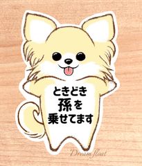 ときどき孫を乗せてます【わんこチワワ.クリーム】マグネットタイプ/シールタイプ/吸盤タイプ