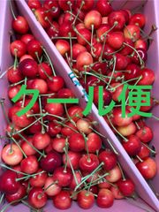 さくらんぼ（紅てまり）Lサイズ 箱込1キロ程度 山形県産