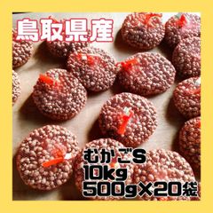 【鳥取県産】むかご 10kg（500g×20袋） Sサイズ 長芋 ねばりっこ 山芋