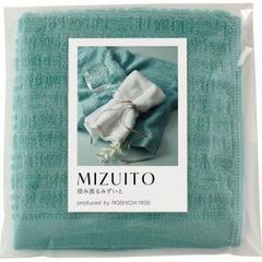 Item thumbnail for item a00711e3-fc07-4a19-9e36-3b97ed0a66c0