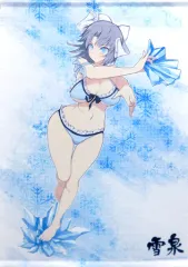閃乱カグラ　雪泉　詠　タペストリー 2025年最新】雪泉 タペストリーの人気アイテム - メルカリ