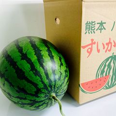 ぞうさん様専用】小玉スイカ1玉 黄色果肉 - メルカリ
