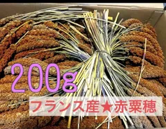 2024年最新】粟の穂の人気アイテム - メルカリ