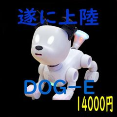 3F 【希少・デッドストック】トミー DOG.COM 限定プラチナホワイト ロ