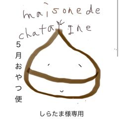 しらたま様専用　おやつ便　シフォンケーキサンド　チーズケーキ　テリーヌ
