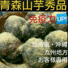 ⭐新芋⭐青森産山の芋秀品2キロ(山芋)