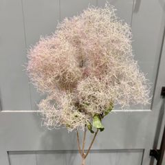 年始セール！スモークツリー中枝　ピンク