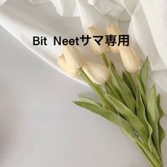 Bit   Neetサマ専用