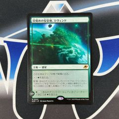 【MTG】JP《目覚めの安息地、エヴェンド/Evendo, Waking Haven》[EOE]
