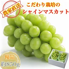 2026年最新】完熟シャインマスカットの人気アイテム - メルカリ